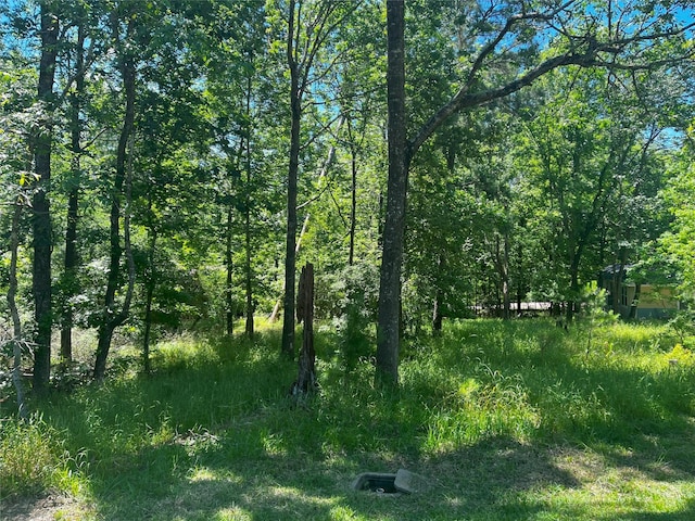 15 Cherry Hills Dr, Coldspring, TX 77331