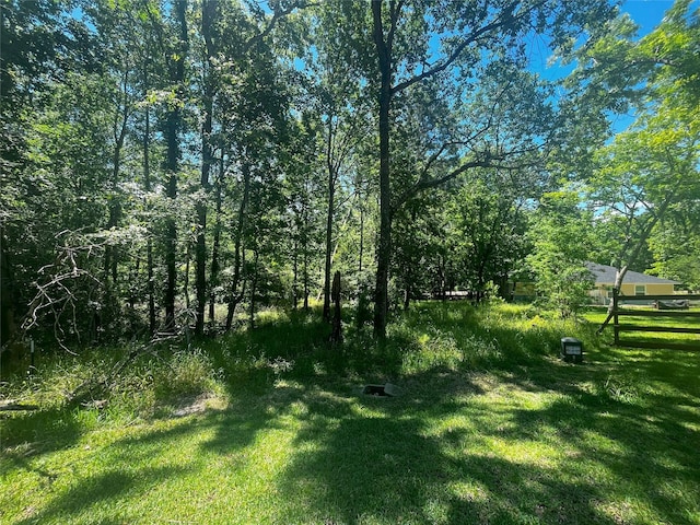 15 Cherry Hills Dr, Coldspring, TX 77331