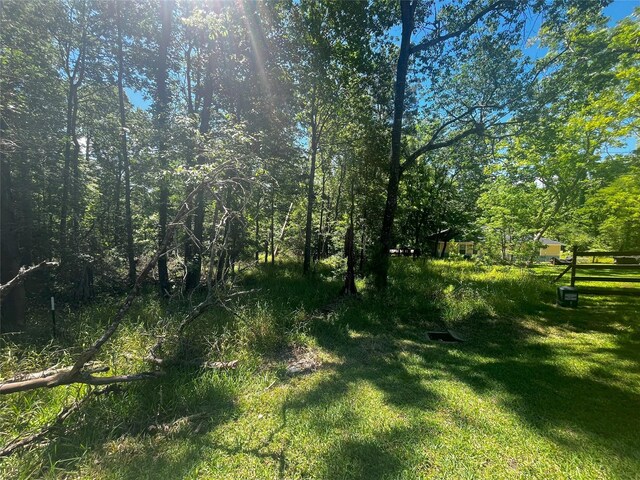 15 Cherry Hills Dr, Coldspring, TX 77331