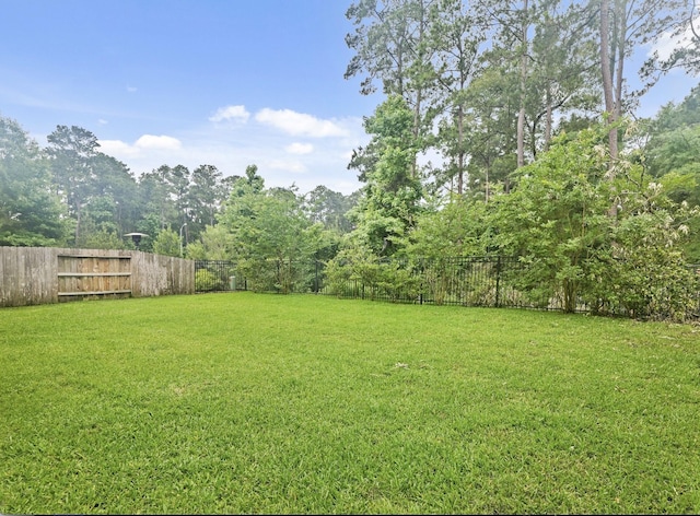 514 Pearl View Ln, Pinehurst, TX 77362 - view of yard