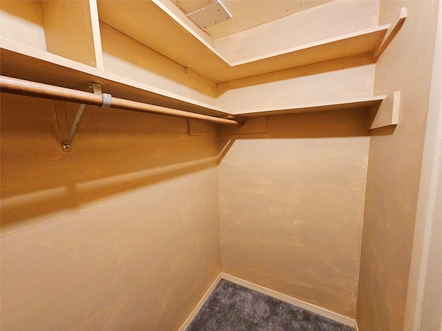 807 Golf Ct, Stafford, TX 77477 - spacious closet with carpet