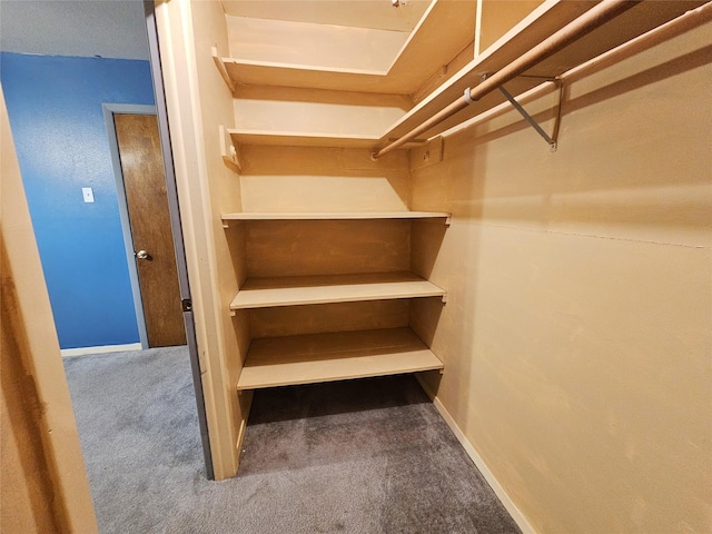 807 Golf Ct, Stafford, TX 77477 - walk in closet featuring carpet flooring