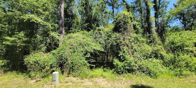 200 Hargrave Rd, Huffman, TX 77336 - photo 4