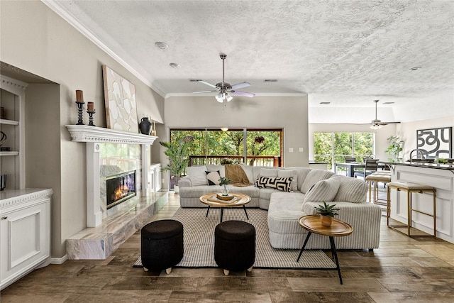 170 April Cv, Montgomery, TX 77356 - living room featuring ceiling fan, ornamental molding, wood finished floors, a premium fireplace, and a textured ceiling