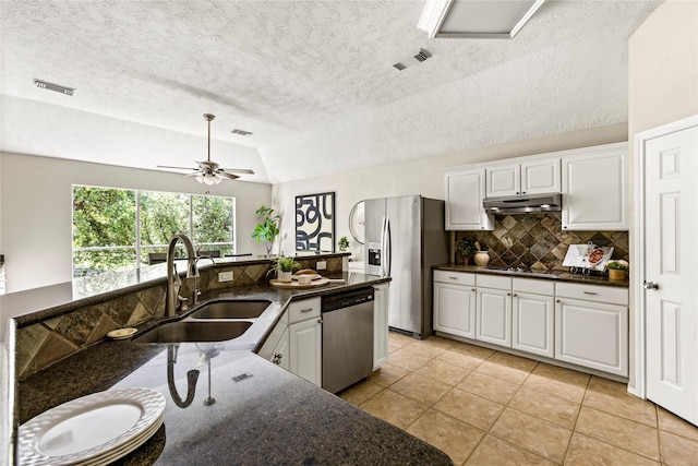 170 April Cv, Montgomery, TX 77356 - kitchen featuring a sink, stainless steel appliances, under cabinet range hood, lofted ceiling, and tasteful backsplash