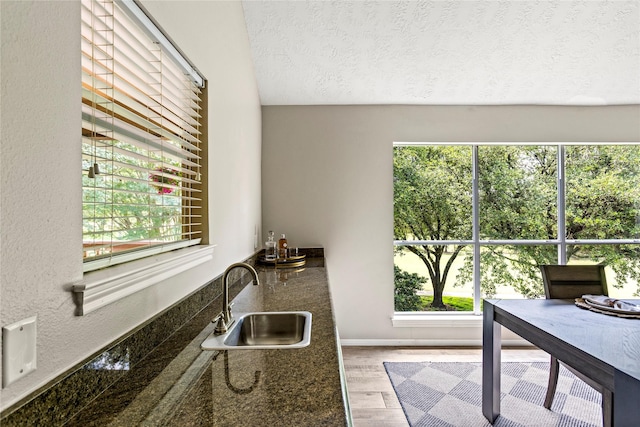 170 April Cv, Montgomery, TX 77356 - kitchen with a sink, a textured ceiling, healthy amount of natural light, wood finished floors, and dark countertops