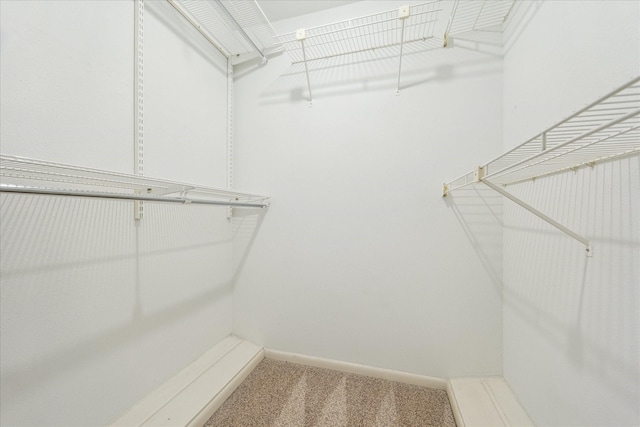 12709 Huntingwick Dr Unit 167, Houston, TX 77024 - walk in closet featuring carpet floors