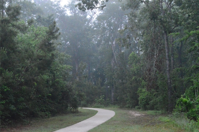 23440 Yaupon Hills Dr, New Caney, TX 77357 - view of road with a wooded view