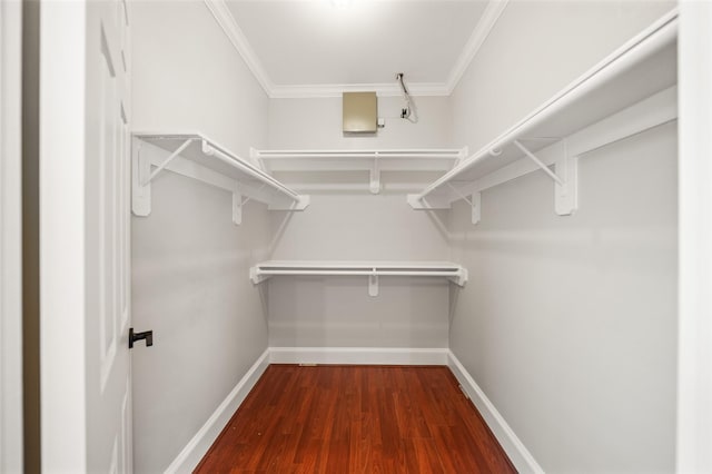 walk in closet with wood finished floors