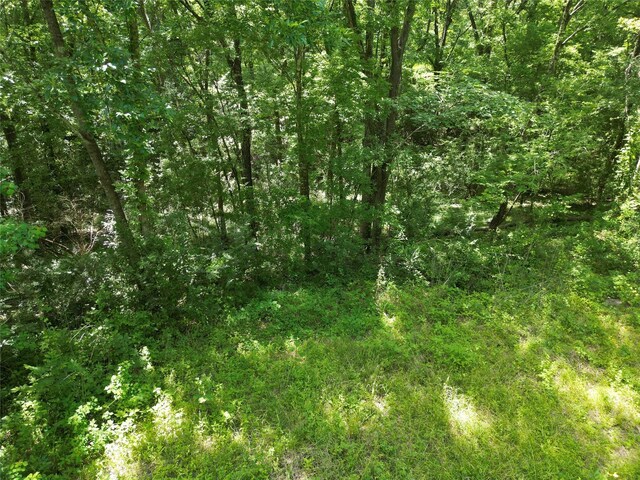 4414 Shady Ln, Huntsville, TX 77320 - photo 17