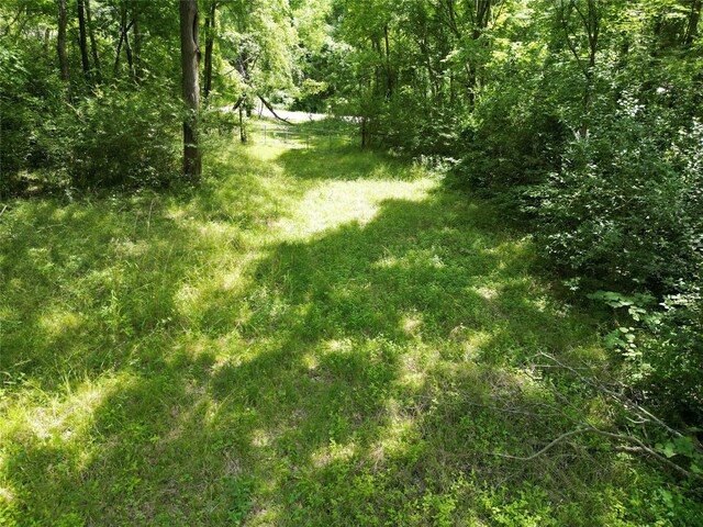 4414 Shady Ln, Huntsville, TX 77320 - photo 18