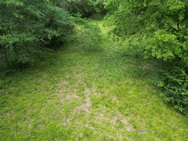 4414 Shady Ln, Huntsville, TX 77320 - photo 15