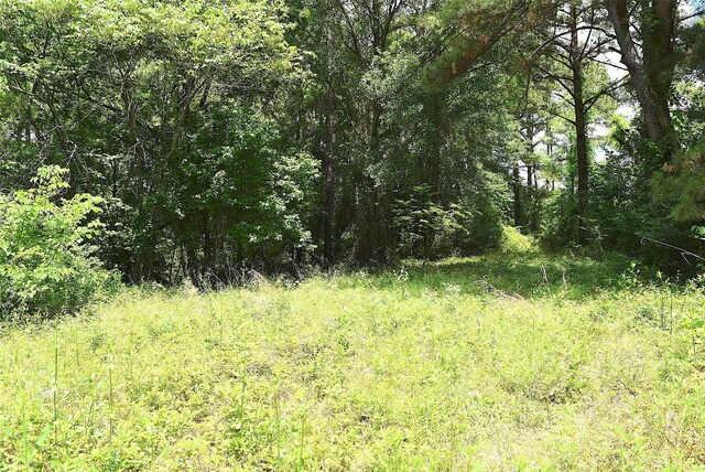4414 Shady Ln, Huntsville, TX 77320 - photo 4