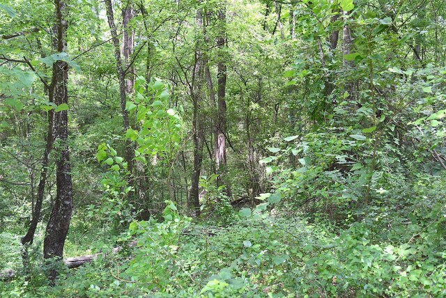 4414 Shady Ln, Huntsville, TX 77320 - photo 7