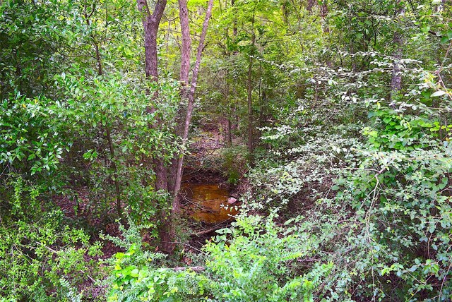 4414 Shady Ln, Huntsville, TX 77320 - photo 9