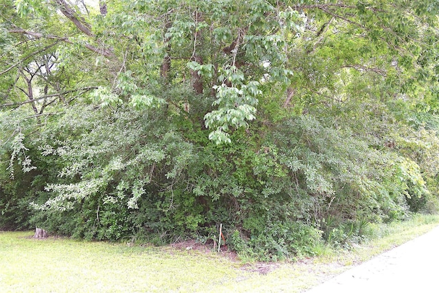 4414 Shady Ln, Huntsville, TX 77320 - photo 12