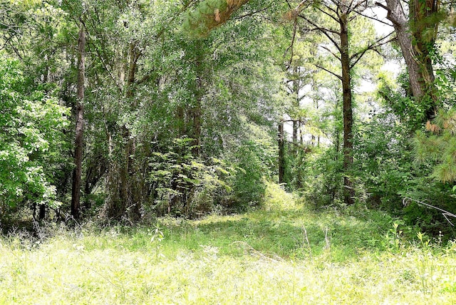 4414 Shady Ln, Huntsville, TX 77320 - photo 3