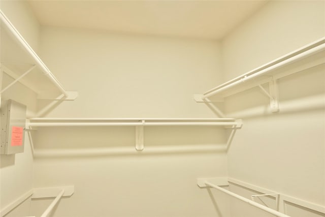 23902 Spring Way Dr, Spring, TX 77373 - view of walk in closet