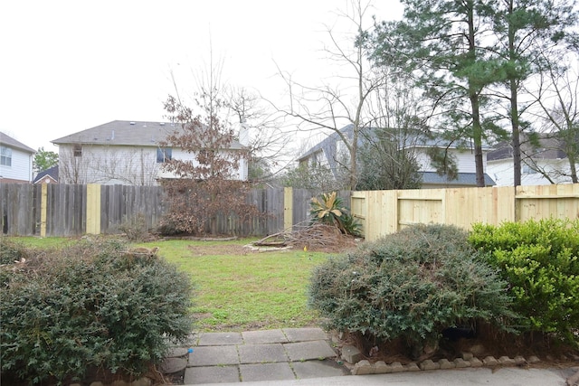 23902 Spring Way Dr, Spring, TX 77373 - view of yard