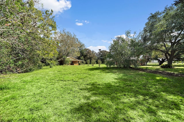 115 Old Caney Rd, Wharton, TX 77488 - view of grassy yard