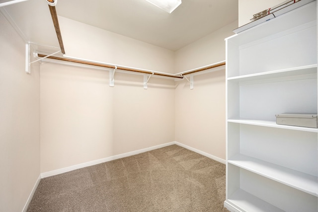 506 Stream Mill Ln, Katy, TX 77494 - walk in closet featuring carpet