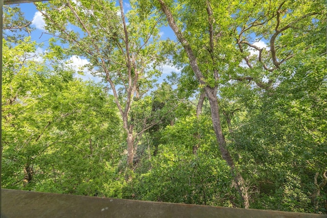6549 Bayou Glen Rd, Houston, TX 77057 - view of local wilderness