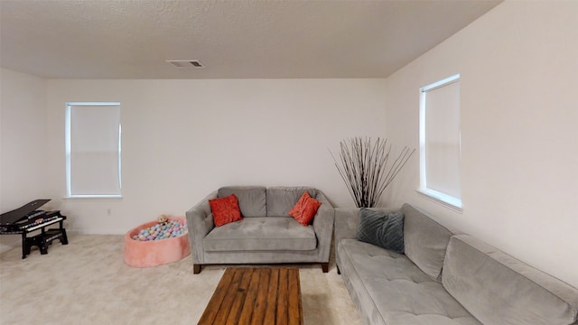 living room with carpet floors