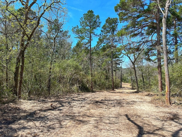 TBD Cr 292, Buffalo, TX 75831