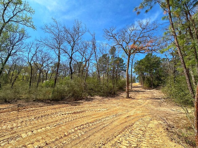 TBD Cr 292, Buffalo, TX 75831
