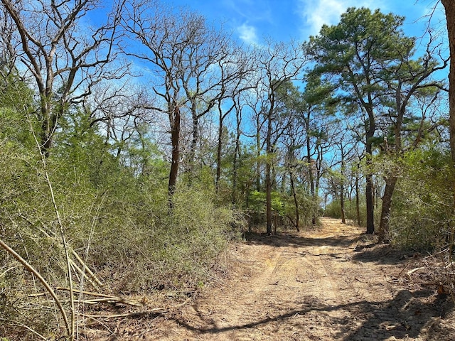 TBD Cr 292, Buffalo, TX 75831