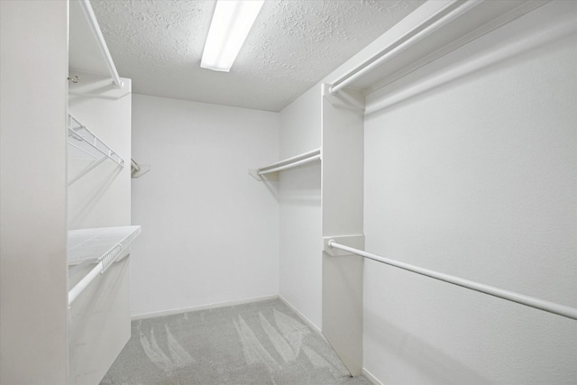 12514 Wealdstone Dr, Tomball, TX 77377 - walk in closet with light carpet