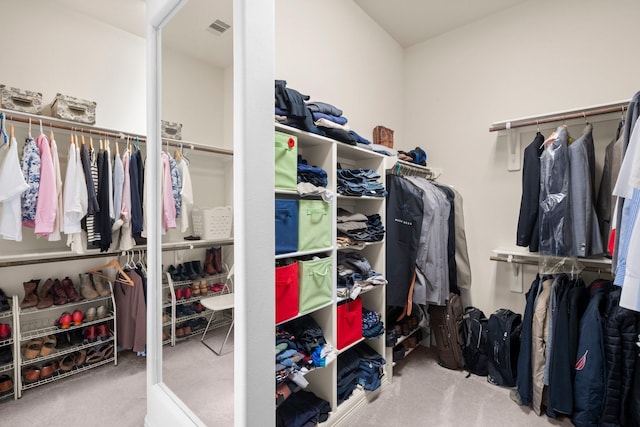 spacious closet with carpet floors