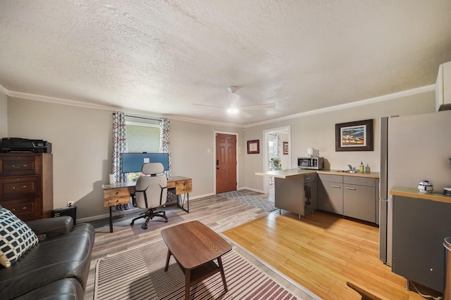 1710 Spring St, Houston, TX 77007 - living room with light wood finished floors, crown molding, a textured ceiling, ceiling fan, and baseboards