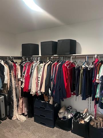 spacious closet with carpet flooring