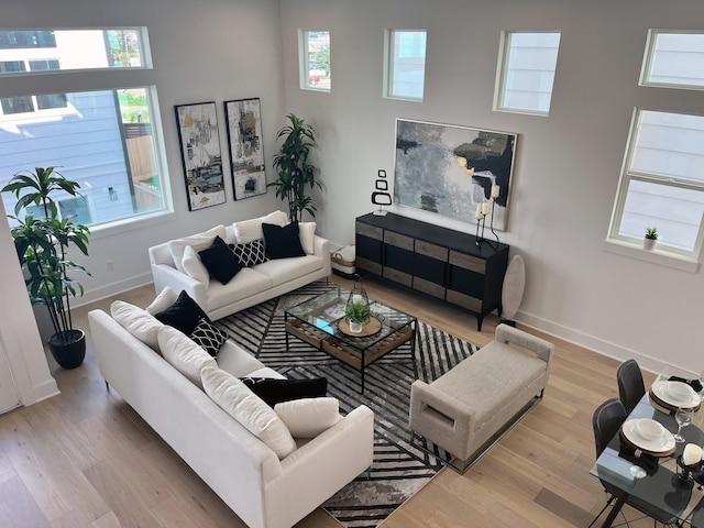 living area featuring wood finished floors, baseboards, and healthy amount of natural light