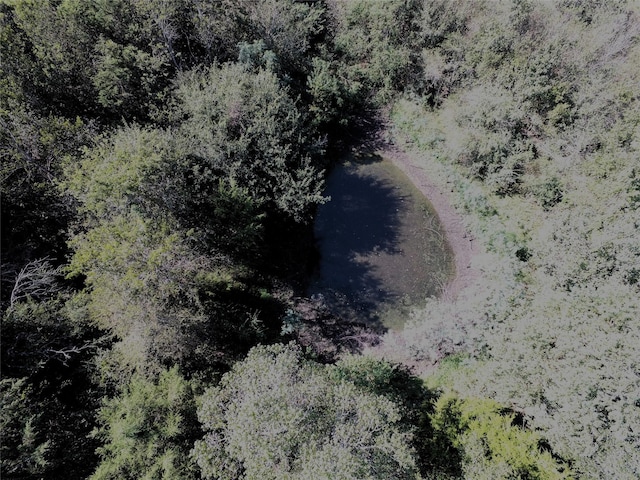TBD Fm 1371, Chappell Hill, TX 77426 - photo 4