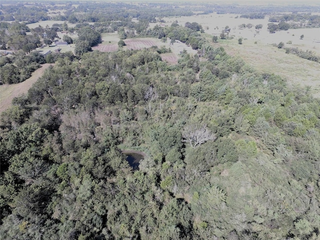 TBD Fm 1371, Chappell Hill, TX 77426 - photo 5