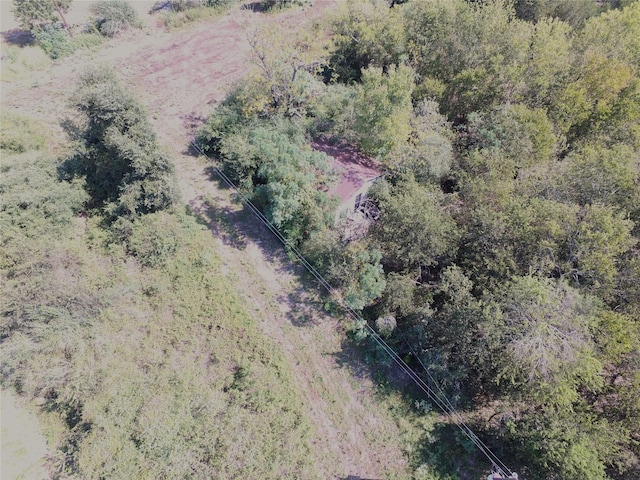 TBD Fm 1371, Chappell Hill, TX 77426 - photo 6
