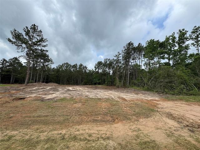 11668 Wilgers Way, Willis, TX 77378 - view of tree filled area