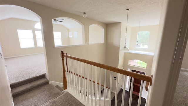 6514 Evening Rose Ln, Katy, TX 77449 - photo 23