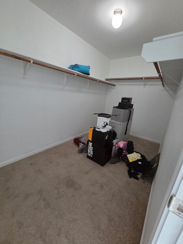 9914 Pearl Creek Ln, Rosharon, TX 77583 - spacious closet with carpet floors