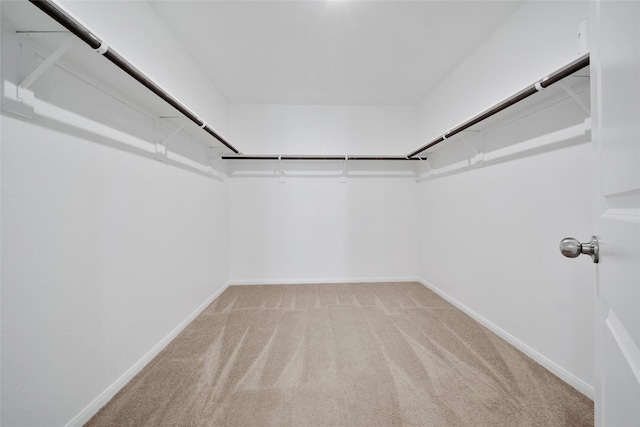 23431 Wrexham St, Spring, TX 77373 - walk in closet featuring light carpet