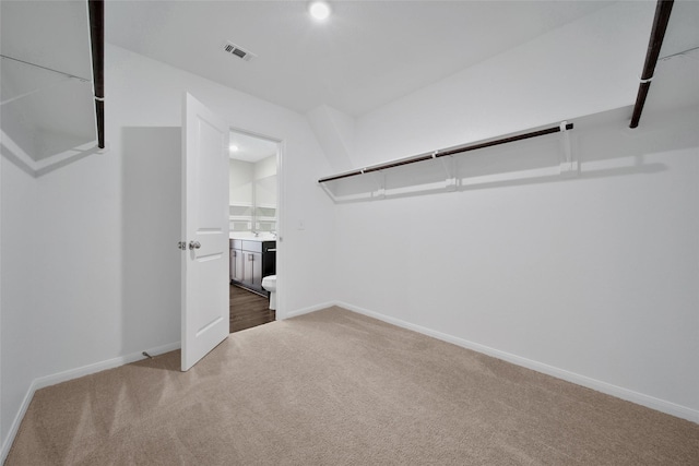 23431 Wrexham St, Spring, TX 77373 - walk in closet with carpet