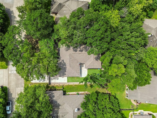 bird's eye view