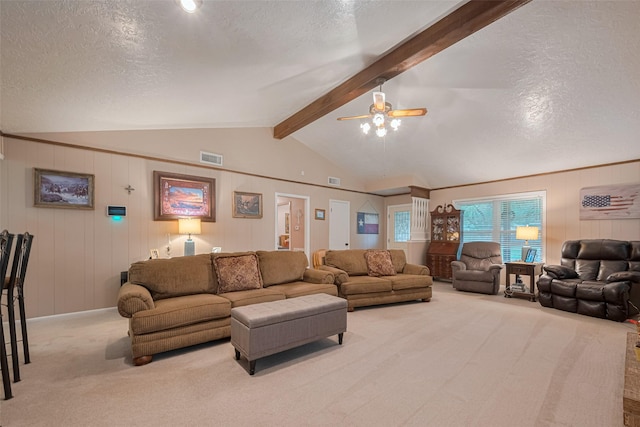 1745 15th St, Hempstead, TX 77445 - living room with a textured ceiling, carpet flooring, and a ceiling fan