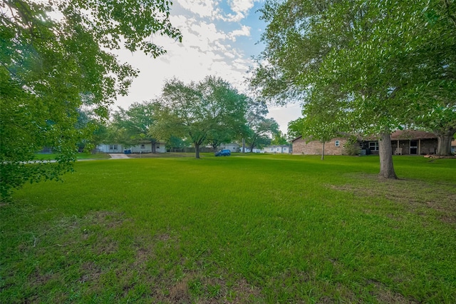 1745 15th St, Hempstead, TX 77445 - view of grassy yard