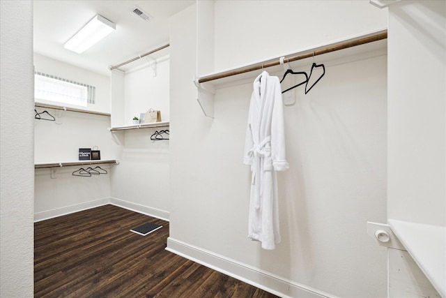 spacious closet featuring dark wood-style flooring