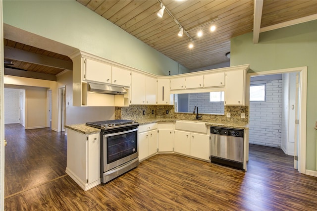 kitchen featuring appliances with stainless steel finishes, a sink, wooden ceiling, lofted ceiling, and under cabinet range hood