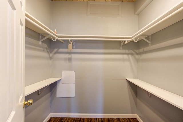 spacious closet featuring dark wood-type flooring