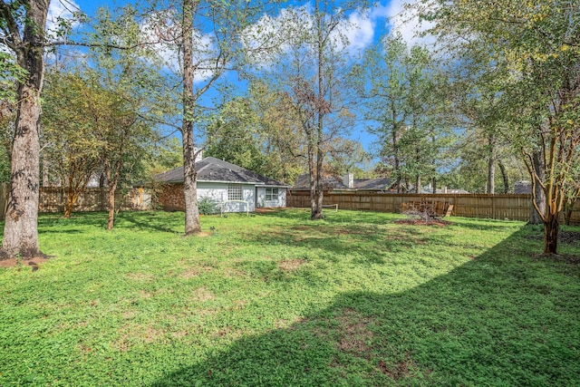 6719 Woodland Oaks, Magnolia, TX 77354 - view of yard